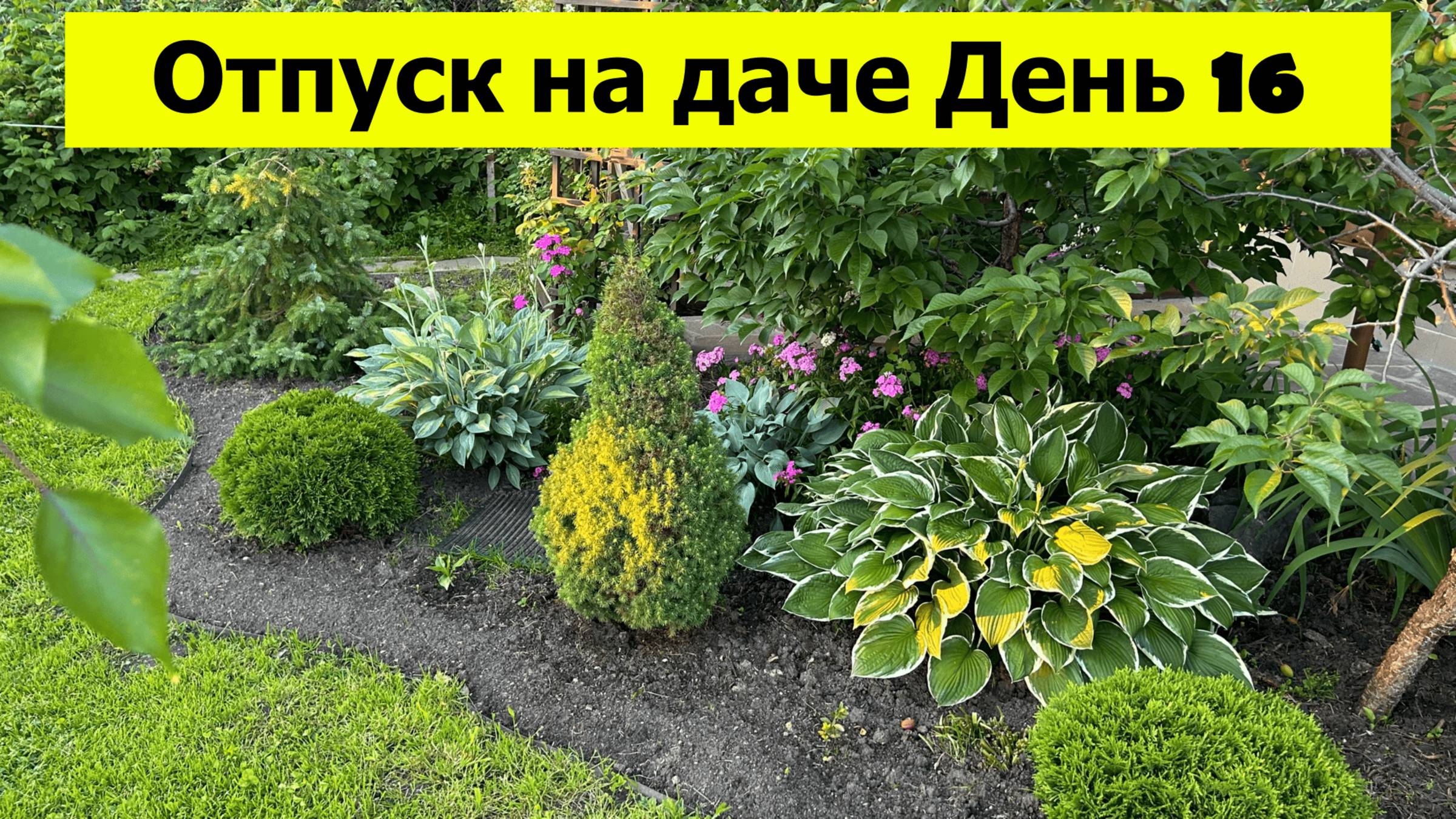 Отпуск на даче День 16. Мой идеальный сад! смотреть онлайн