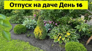 Отпуск на даче День 16. Мой идеальный сад!