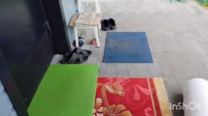 Как живут в русской деревне