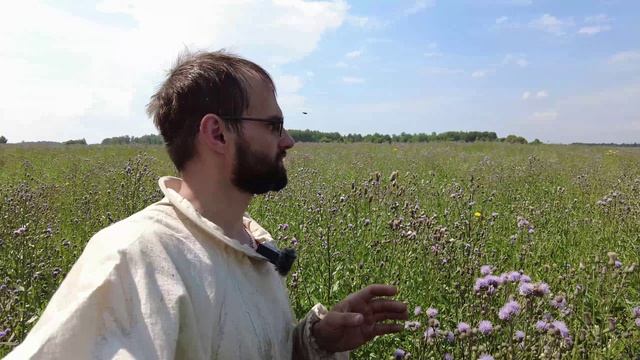Прокачали кочевые пасеки. Лучший мёд России получен вновь! Пасека Старчевских, Сибирь