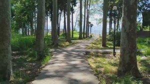 Видеообзор малолюдного пляжа Аквамарин - Лазаревский, погода и море в Лазаревском сегодня июль 2025