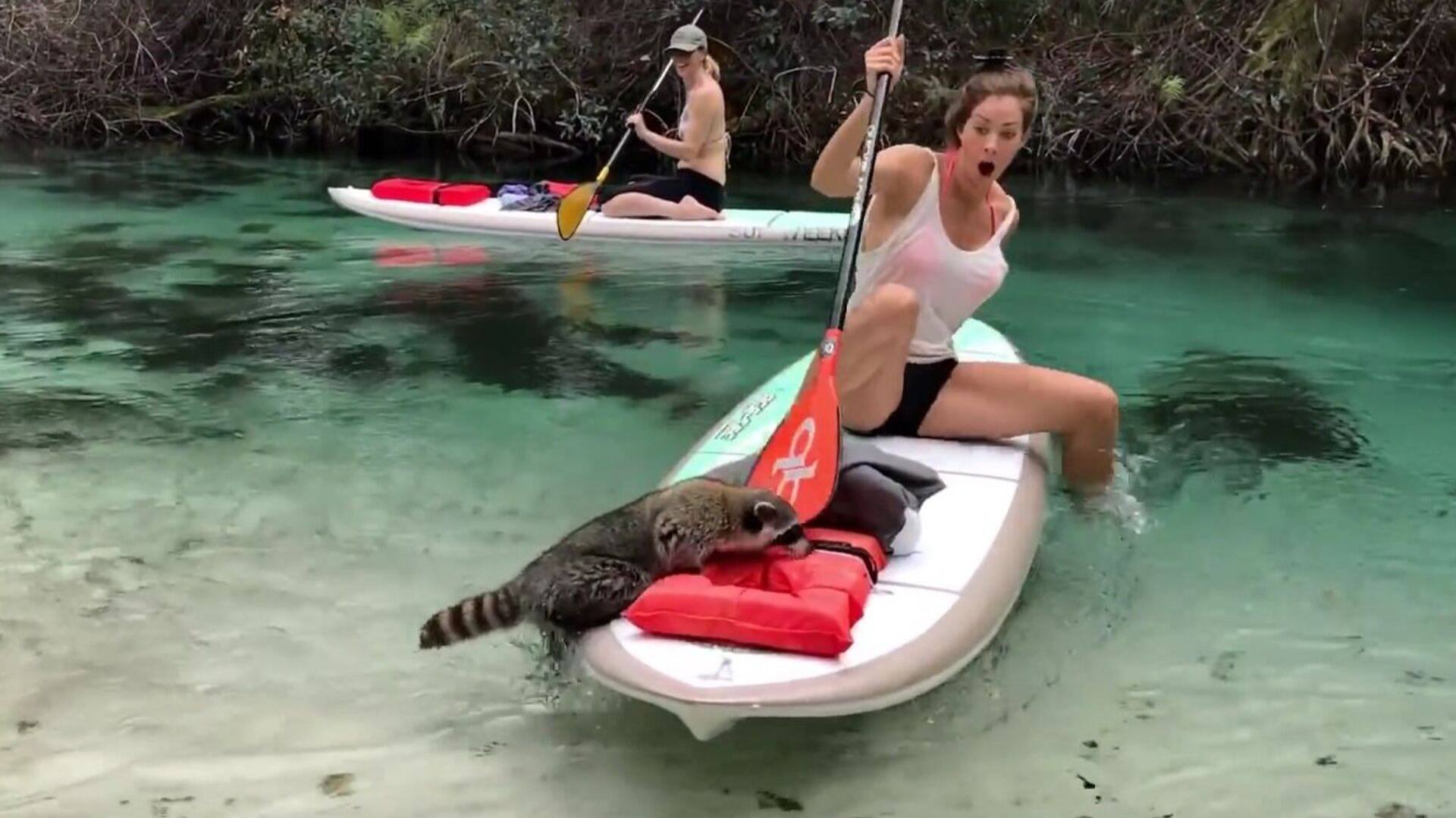 Смешные видео ● неудачные падения в воду, подборка Приколы над людьми смотреть онлайн