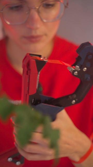 Как Полина подвязывает помидоры смотреть онлайн