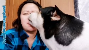 Нет на свете лучшего психотерапевта, чем собака, лизну