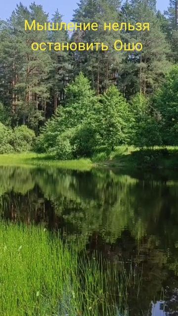 (6) Мышление нельзя остановить Ошо смотреть онлайн