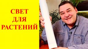 Выбор и расположение светильников для комнатных растений