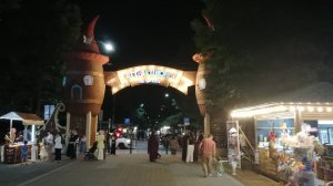 Аттракционы Нальчика. Вечером по центральной аллеи парка Нальчика. Путешествие по Кабардино-Балкарии