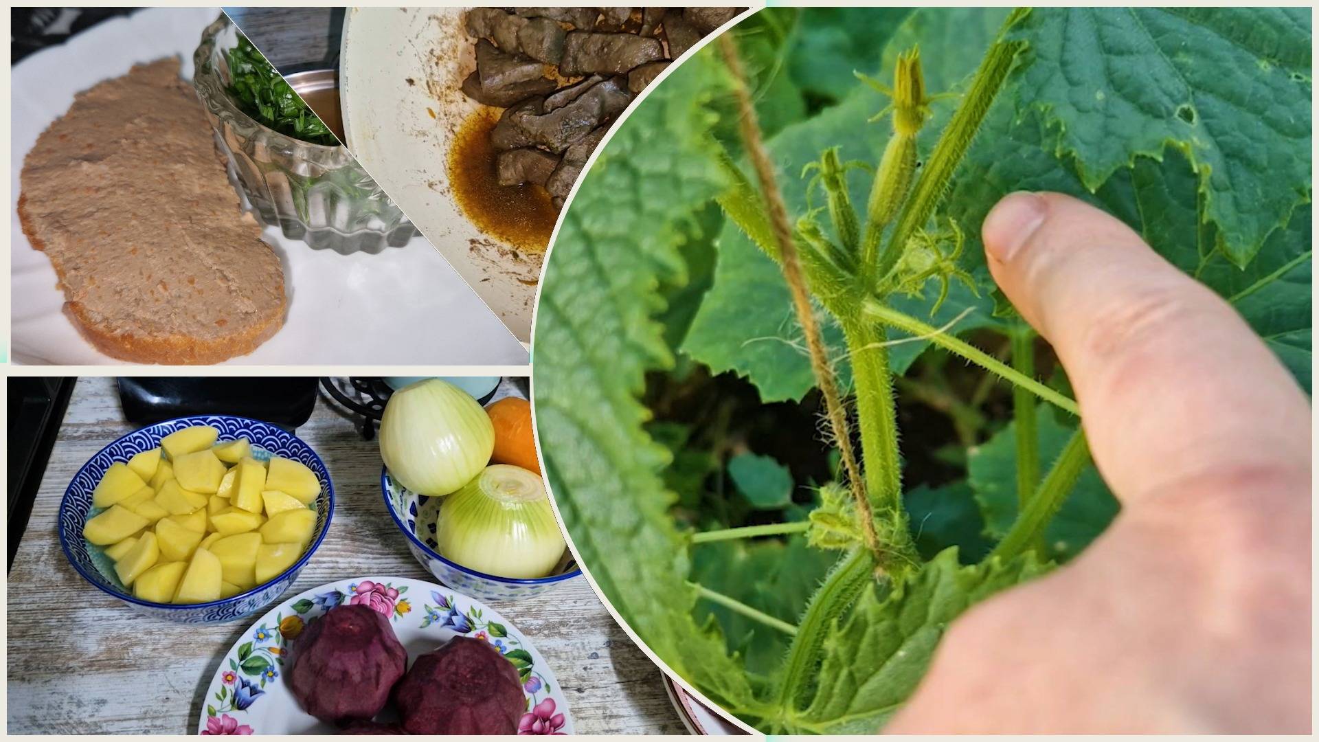 Первые огурчики. В жару +45 готовлю на ночь глядя. Паштет из говяжьей печени и свекольник. смотреть онлайн