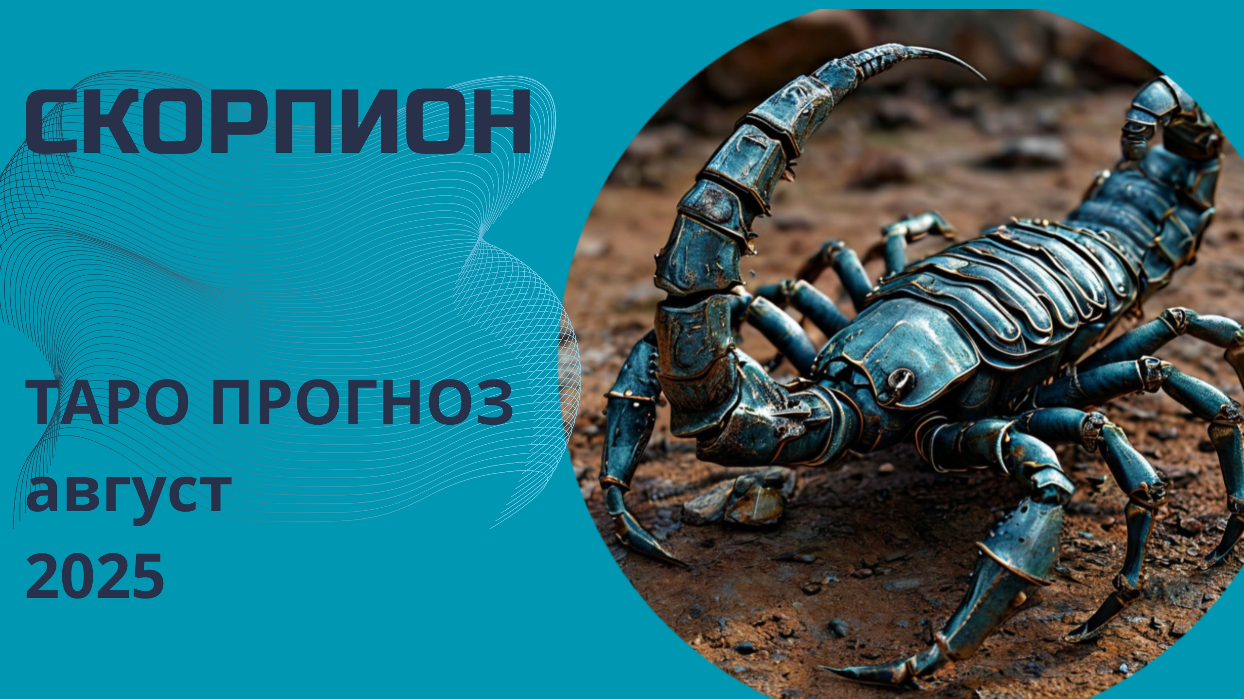 Скорпионы ✨️ что принесёт вам август 2025 года. Таро прогноз от Наталии Эллиф смотреть онлайн