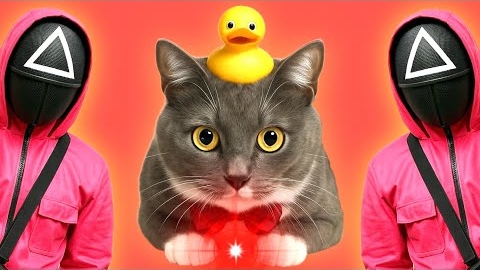 КОТИКИ В ШКОЛЕ - ИГРА В КАЛЬМАРА, НО ЭТО КРАСНАЯ ТОЧКА смотреть онлайн