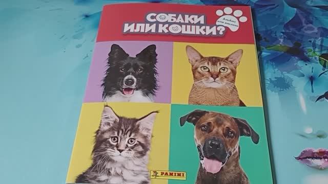 Наклейки Panini Кошечки или собачки. Обзор журнала наклеек смотреть онлайн