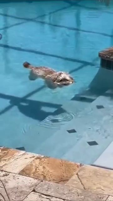 Спасаясь от жары смотреть онлайн