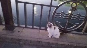 Анапа развлечения 2025 июль 11 «jimmvista»✏️👍👀 👂