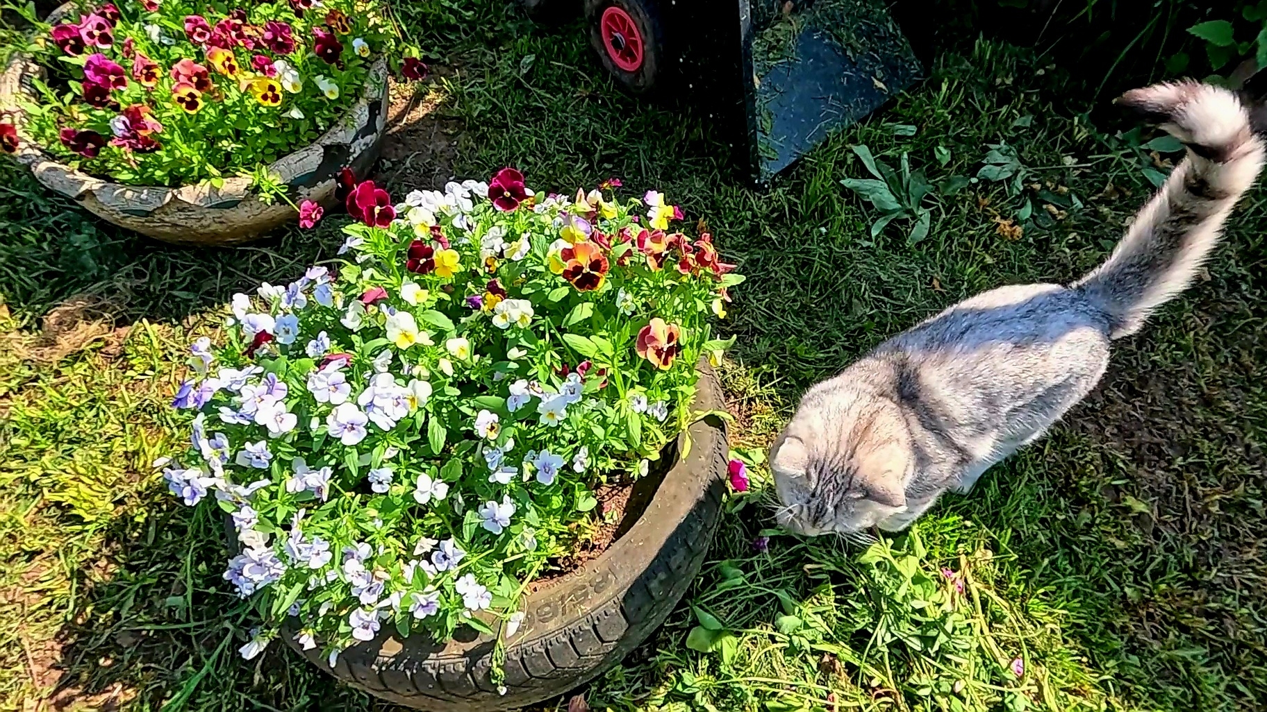 Дел невпроворот... Какой смысл мне врать.. смотреть онлайн