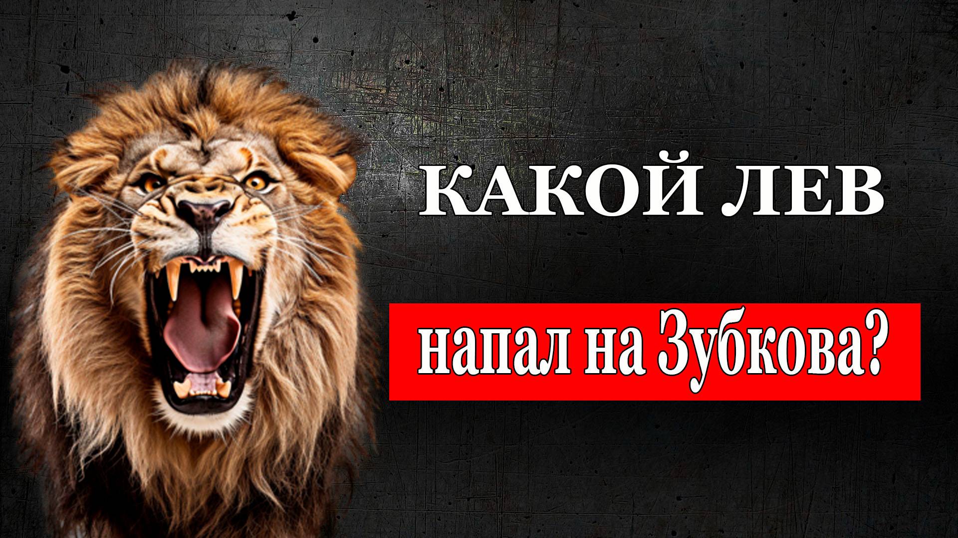 Какой лев напал на Зубкова?, 16 июля смотреть онлайн