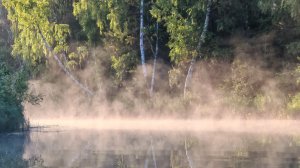 ПОСВЯЩАЕТСЯ ТЕМ, КТО НАШЁЛ В СЕБЕ МУЖЕСТВО ЖИТЬ ПО МЕЧТЕ!
