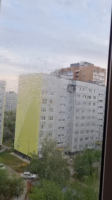 Водный 🔫 vs птичья 💩 смотреть онлайн