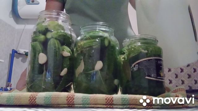 /заготовки на зиму/закатала первые огурцы/ смотреть онлайн