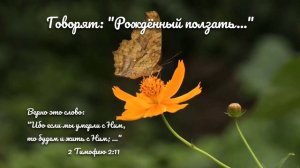 Говорят "Рождённый ползать..."