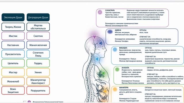 Джуна. энергоцентры чакры