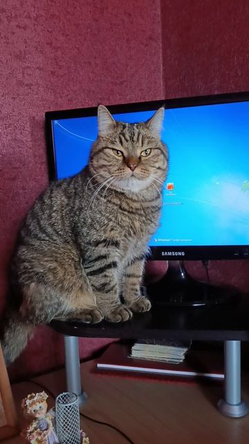 Не знает куда глаза деть. смотреть онлайн