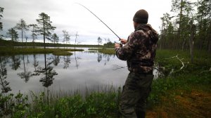 Окунь на балду. Наловил рыбы. Рыбалка на озере.