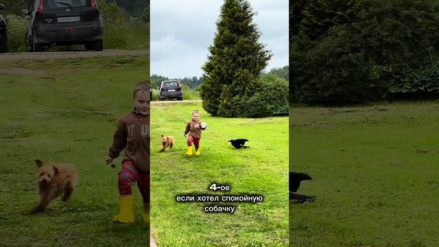 Рыжий фермер