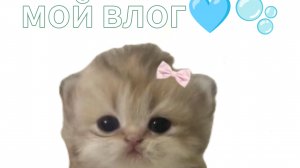 мой влог 🩵🫧
