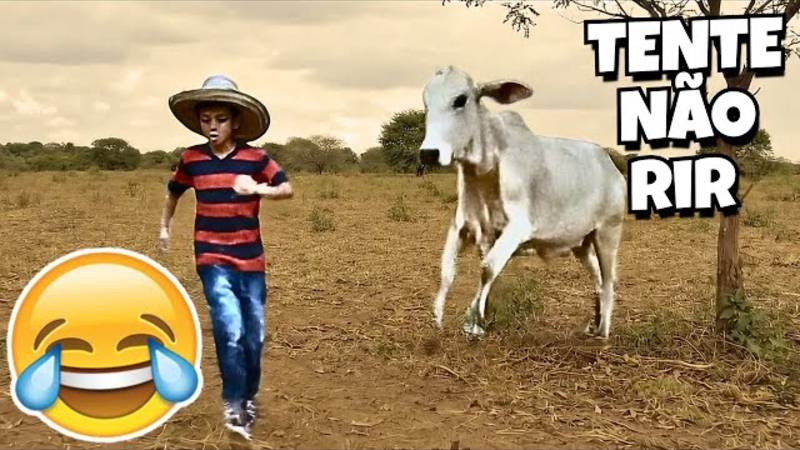 Подборка смешных роликов 2025🤣😂😁 смотреть онлайн