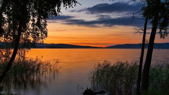 🎼 «Цыганка» - Рада Рай & Edgar смотреть онлайн