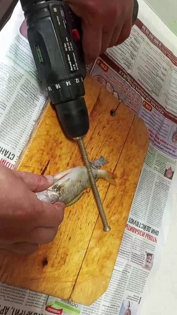 Как легко почистить любую рыбу от чешуи. смотреть онлайн