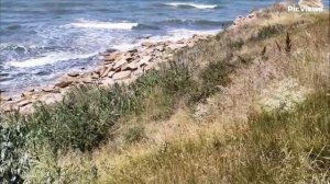 Крым Керчь мыс Хрони сегодня 16 июля 2025. Дикий пляж, погода в Крыму сейчас. Обстановка на море