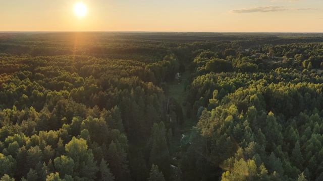 Природа с высоты птичьего полета смотреть онлайн