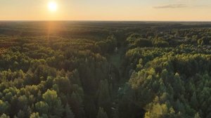 Природа с высоты птичьего полета