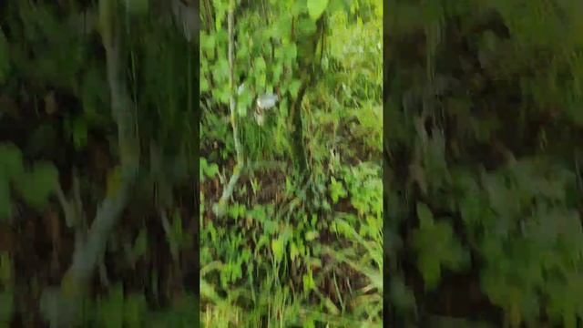 Гуляю (часть 2) смотреть онлайн