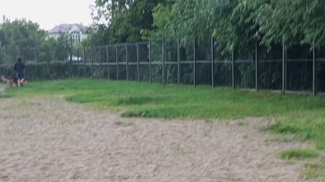 1.  выражено/перв АРЕАЛ РОСЬ ЛЕРОЙ (Targus v. Frosten – Erben Welt Stern Izida)