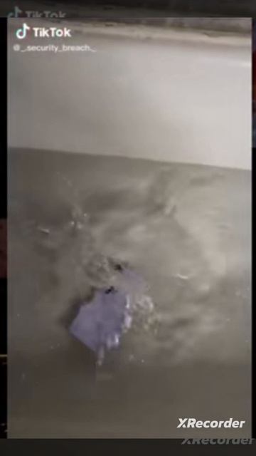 ха-ха-ха-ха 🤣🤣🤣😂 смотреть онлайн