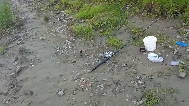 Рыбалка на Донки. Плотва не отпускает с реки. смотреть онлайн