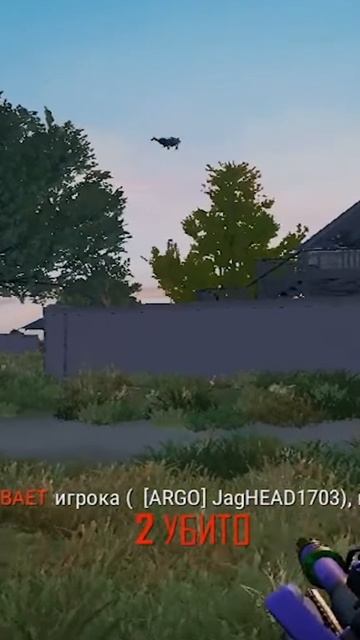 ПИНГВИН ПТИЦА ГОРДАЯ #пабг #shamanenok #pubg смотреть онлайн