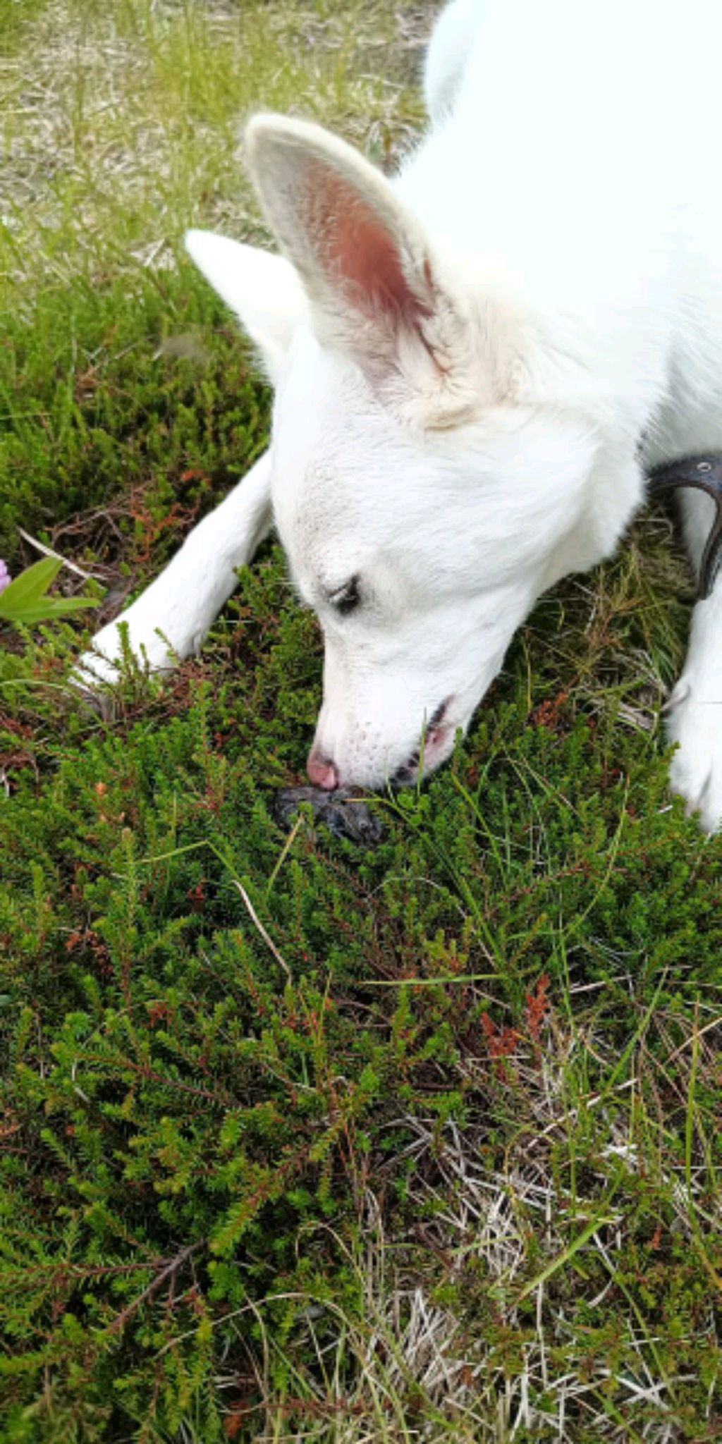 распаковка 📦