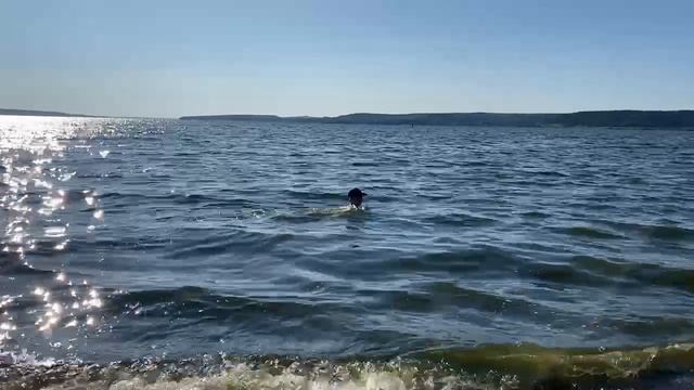 Купаюсь в Воткинском водохранилище, Кама смотреть онлайн