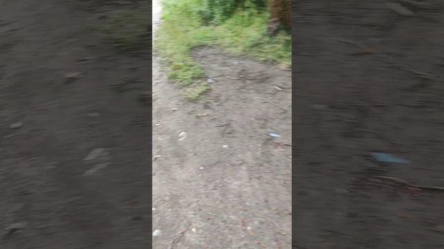 Гуляю (часть 1) смотреть онлайн