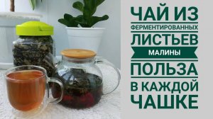 Чай из листьев малины (ферментированный)