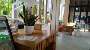 ресепшен TTC Resort Van Phong Bay. Вьетнам. Нячанг.