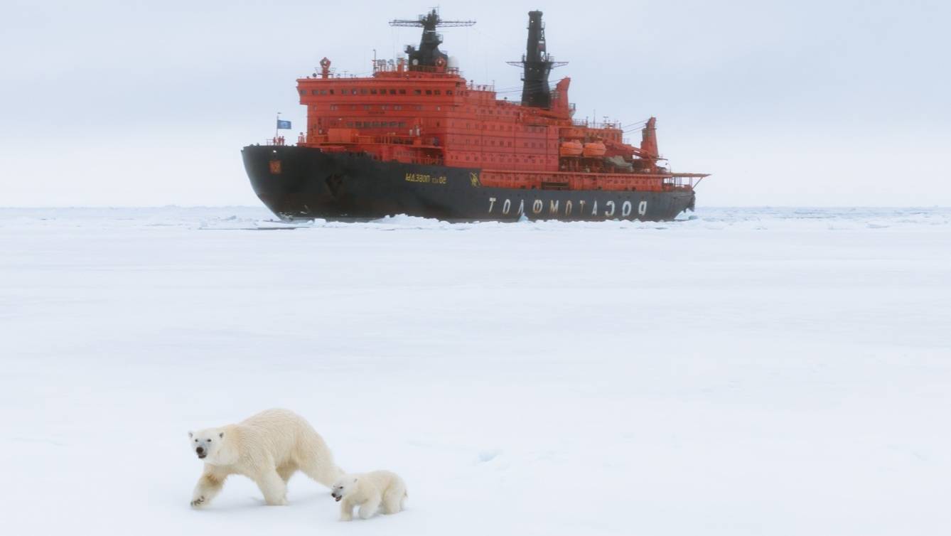 Мамкин Выживальщик на Северном Полюсе смотреть онлайн