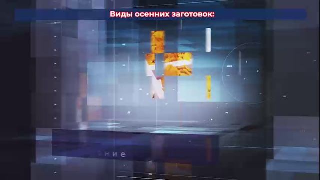 «Телекабинет врача. Здоровый интерес» - 10.10.2024