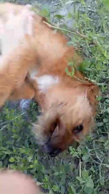 привет смотреть онлайн