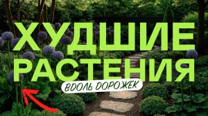 Как Сделать Красивые Клумбы Вдоль Дорожек Без Ошибок