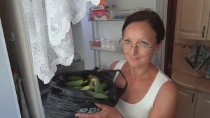 6 соток 12 июля 3025 года. Хроника.