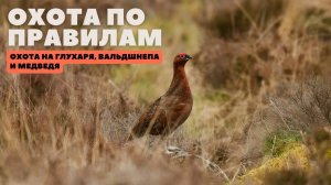 Охота на глухаря, вальдшнепа и медведя. Охота по правилам (вып 37)